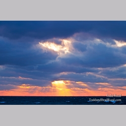 Todd Reed\'s Day 27 of 365 