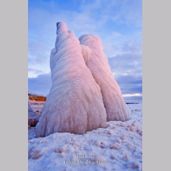Brad Reed\'s Day 29 of 365 