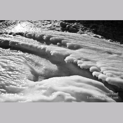 Brad Reed\'s Day 32 of 365 