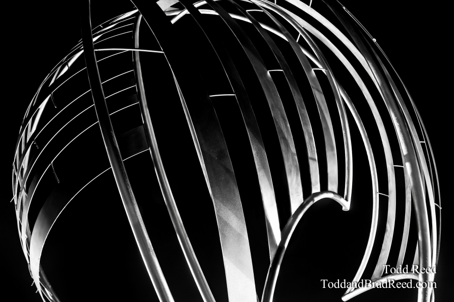 Todd Reed's Day 33 of 365 