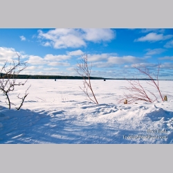 Brad Reed\'s Day 34 of 365 