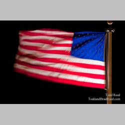 Todd Reed\'s Day 36 of 365 