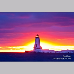 Brad Reed\'s Day 41 of 365 