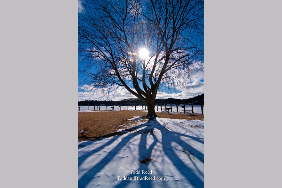 Todd Reed's Day 43 of 365 
