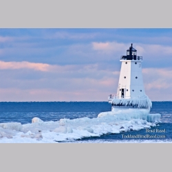 Brad Reed\'s Day 43 of 365 