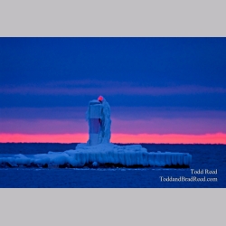 Todd Reed\'s Day 44 of 365 