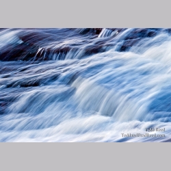 Todd Reed\'s Day 48 of 365 