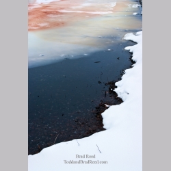 Brad Reed\'s Day 48 of 365 