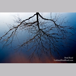Brad Reed\'s Day 50 of 365 