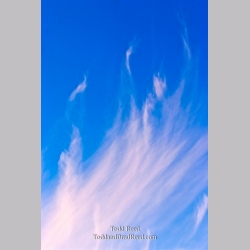 Todd Reed\'s Day 61 of 365 