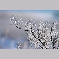 Todd Reed\'s Day 62 of 365 
