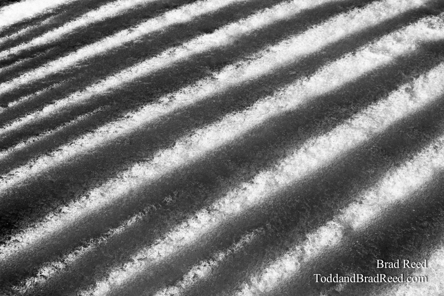 Brad Reed's Day 62 of 365 
