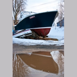 Brad Reed\'s Day 68 of 365 