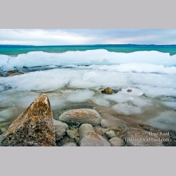 Brad Reed\'s Day 72 of 365 