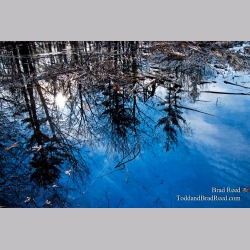Brad Reed\'s Day 75 of 365 
