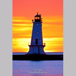 Todd Reed\'s Day 81 of 365 