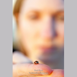 Brad Reed\'s Day 81 of 365 