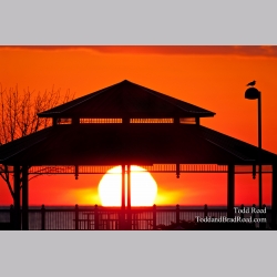 Todd Reed\'s Day 82 of 365 