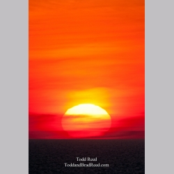 Todd Reed\'s Day 83 of 365 