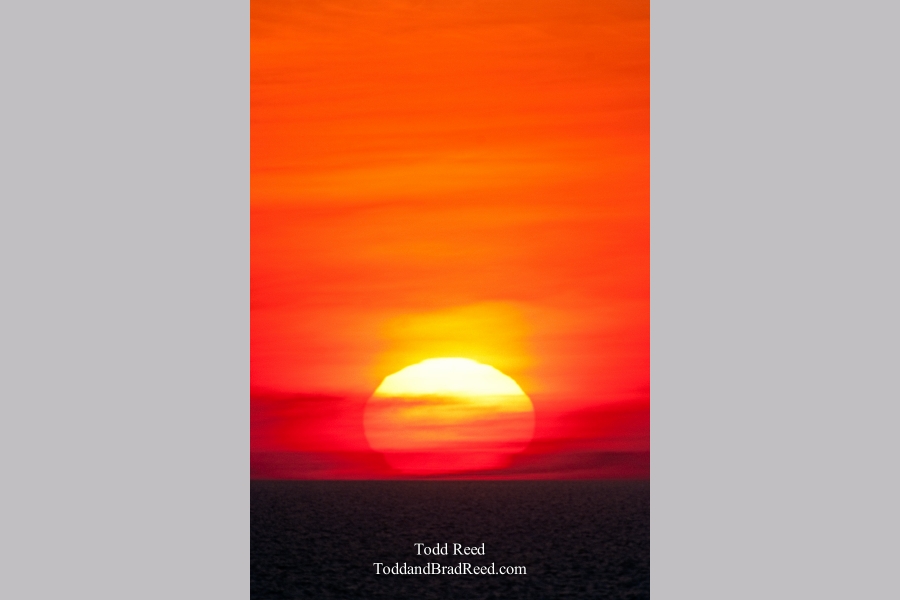 Todd Reed's Day 83 of 365 