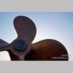 Brad Reed\'s Day 83 of 365 