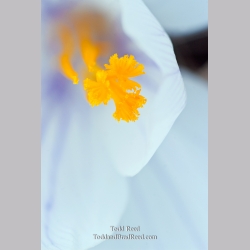 Todd Reed\'s Day 90 of 365 