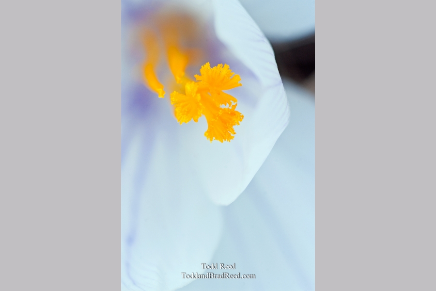 Todd Reed's Day 90 of 365 