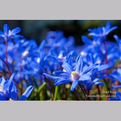 Brad Reed\'s Day 91 of 365 