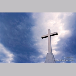 Todd Reed\'s Day 94 of 365 