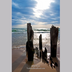 Brad Reed\'s Day 94 of 365 
