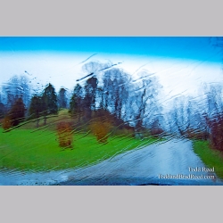 Todd Reed\'s Day 96 of 365 