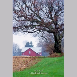 Todd Reed\'s Day 97 of 365 