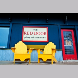 Brad Reed\'s Day 97 of 365 