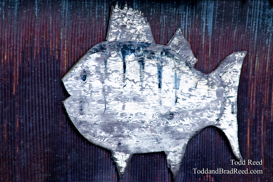 Todd Reed's Day 98 of 365 