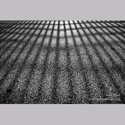 Brad Reed\'s Day 105 of 365 