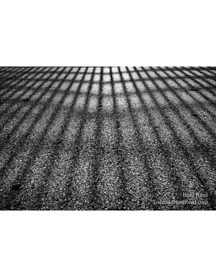 Brad Reed's Day 105 of 365 