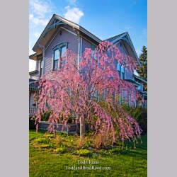 Todd Reed\'s Day 112 of 365 