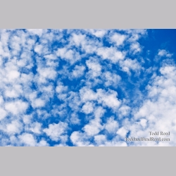 Todd Reed\'s Day 124 of 365 