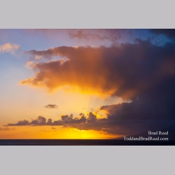 Brad Reed\'s Day 126 of 365 