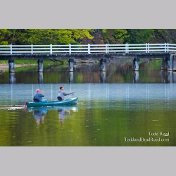 Todd Reed\'s Day 137 of 365 