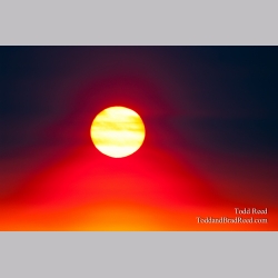 Todd Reed\'s Day 138 of 365 
