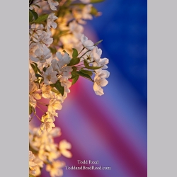Todd Reed\'s Day 139 of 365 