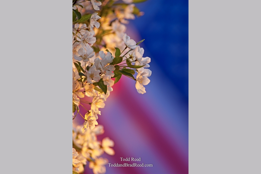 Todd Reed's Day 139 of 365 