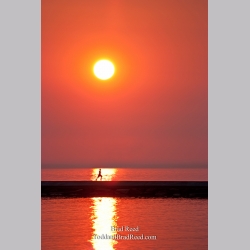 Brad Reed\'s Day 144 of 365 