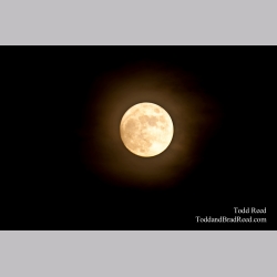 Todd Reed\'s Day 146 of 365 