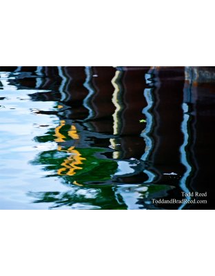 Todd Reed's Day 154 of 365 