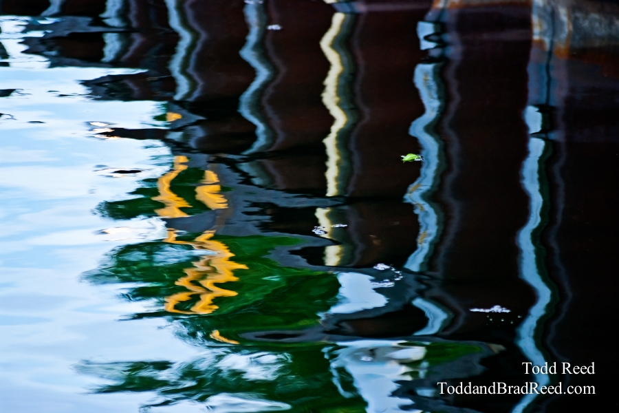 Todd Reed's Day 154 of 365 