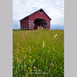 Brad Reed\'s Day 156 of 365 
