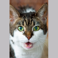 Todd Reed\'s Day 159 of 365 