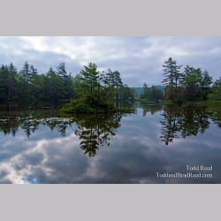 Todd Reed\'s Day 160 of 365 
